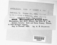 Image Associated With the Occurence